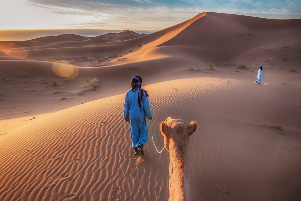 Camel caravan in the Sahara